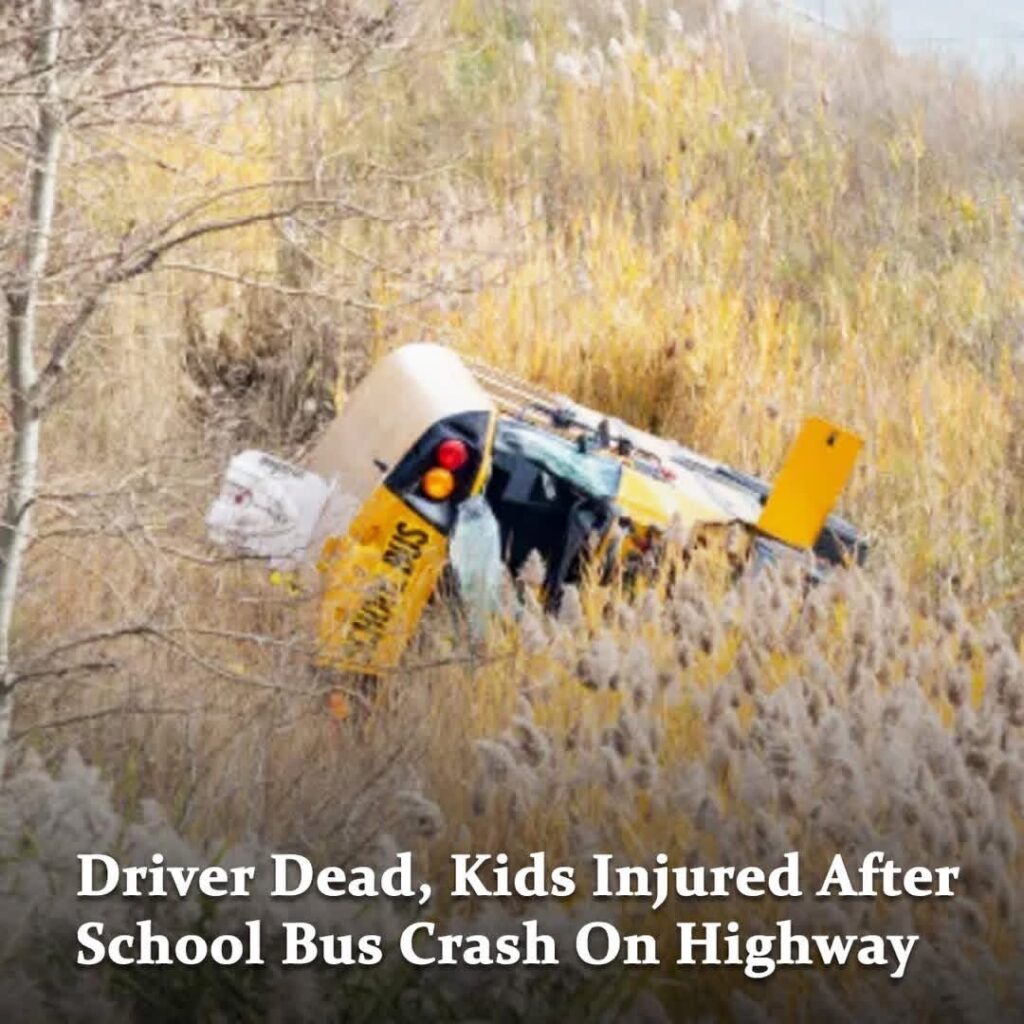 Driver dead, kids injured after school bus crash on Highway 401 near ...