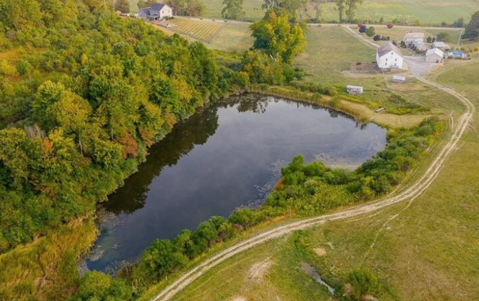Exploring a Scenic 95-Acre Farm with a Pond – My Blog